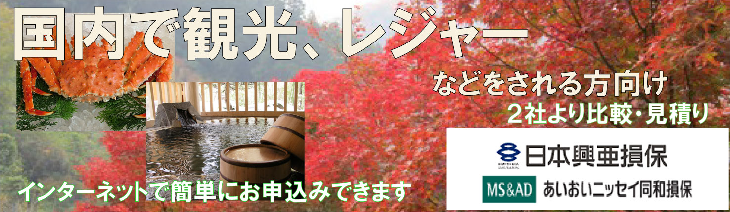 ŊsAW[@C^[lbgŊȒPɂ\݁@QЂrAς@{ہ@jbZCa